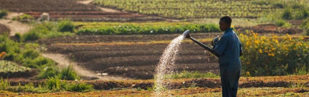 Environnement et climat