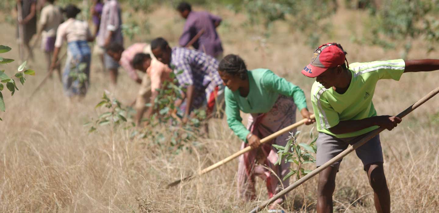 Sécurité alimentaire